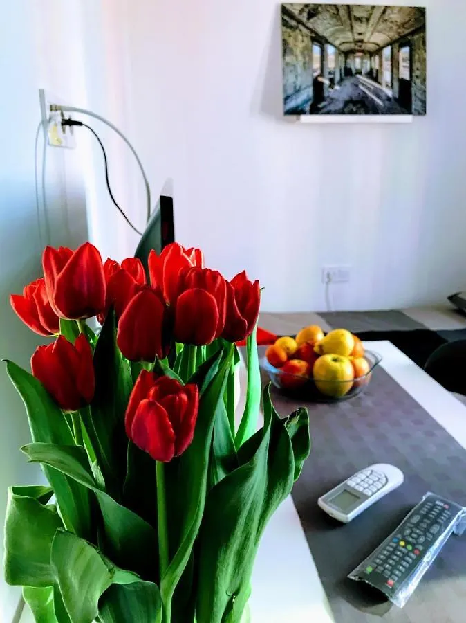 Pula Center Green Park Apartments And Rooms Chorwacja